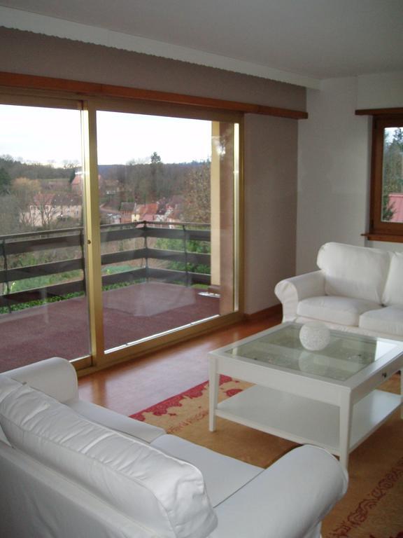 Villa Du Lion D'Or La Petite-Pierre Pokój zdjęcie